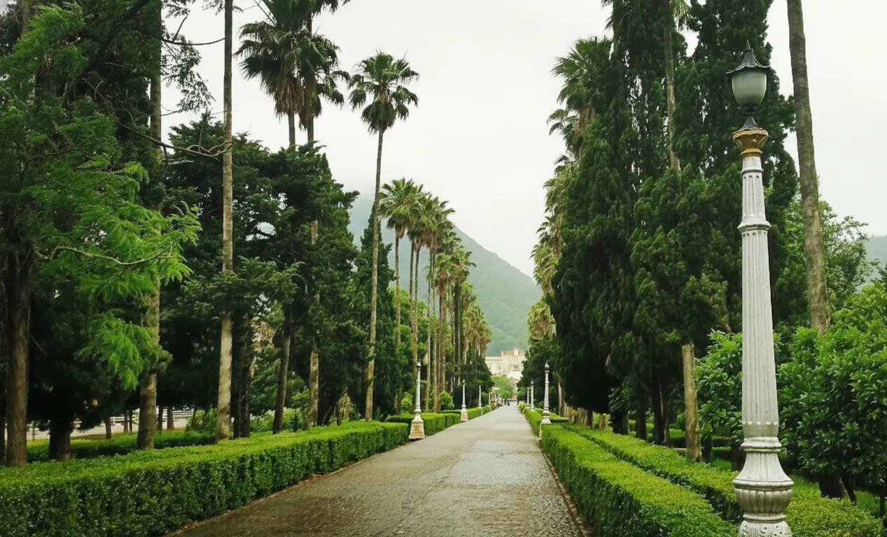 عکسی از شهر رامسر