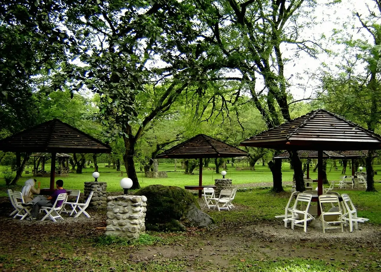 عکسی از پارک جنگلی چالدره تنکابن