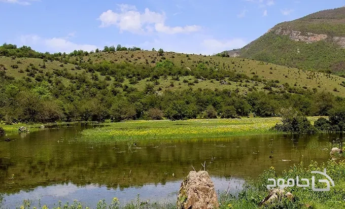 دشت دریاسر تنکابن