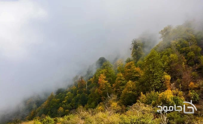 دشت دریاسر تنکابن در پاییز