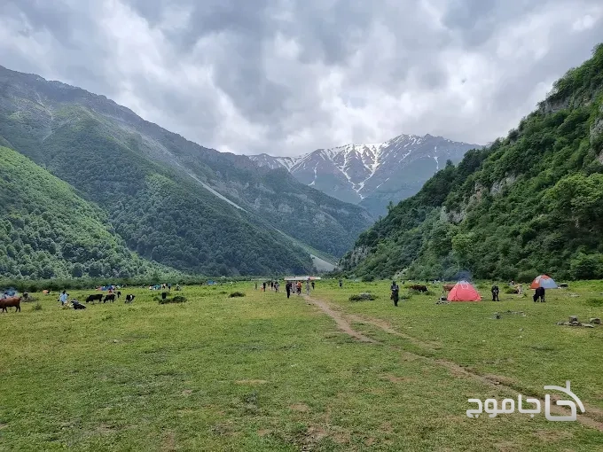 کمپینگ در دشت دریاسر تنکابن