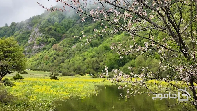 بهترین زمان رفتن به دشت دریاسر تنکابن
