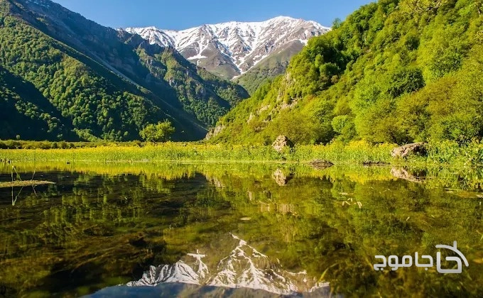 دشت دریاسر تنکابن