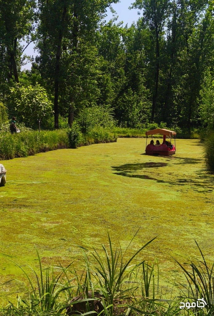 پارک جنگلی سراوان رشت 