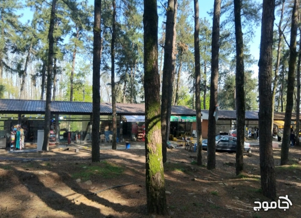 امکانات پارک جنگلی سراوان رشت 