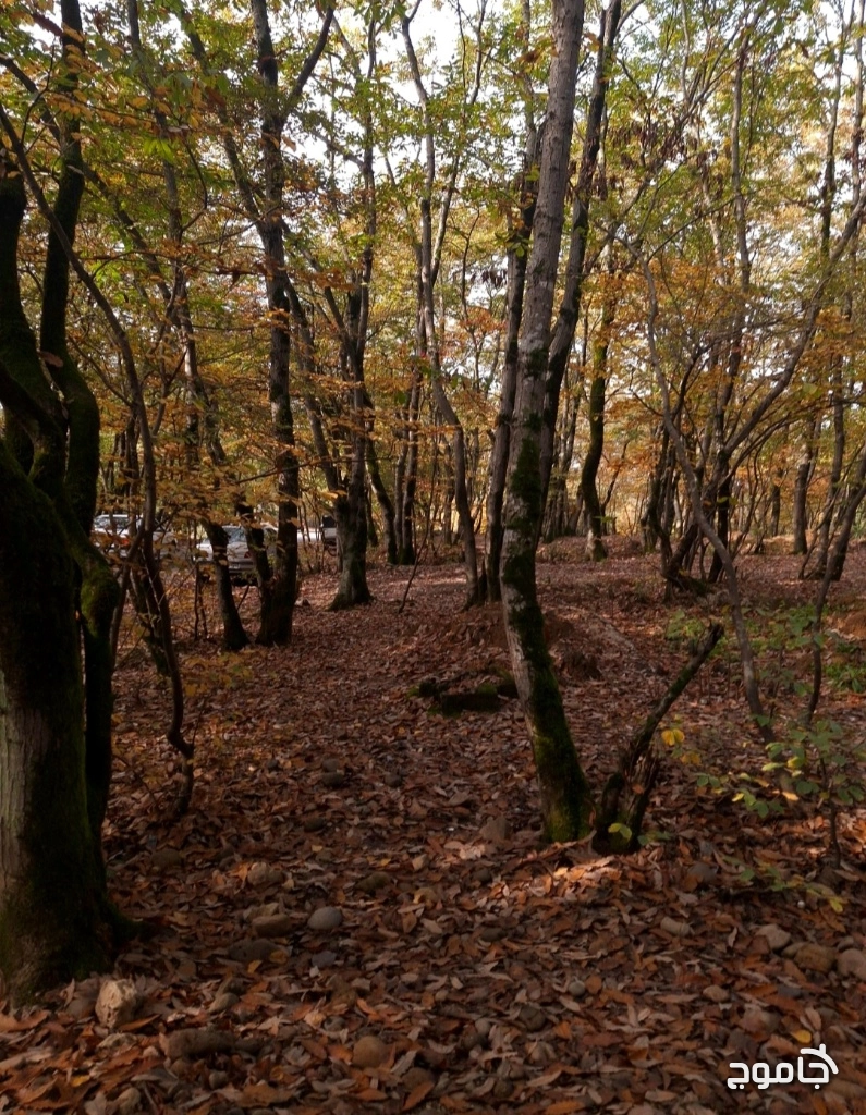 پارک جنگلی سراوان رشت در پاییز
