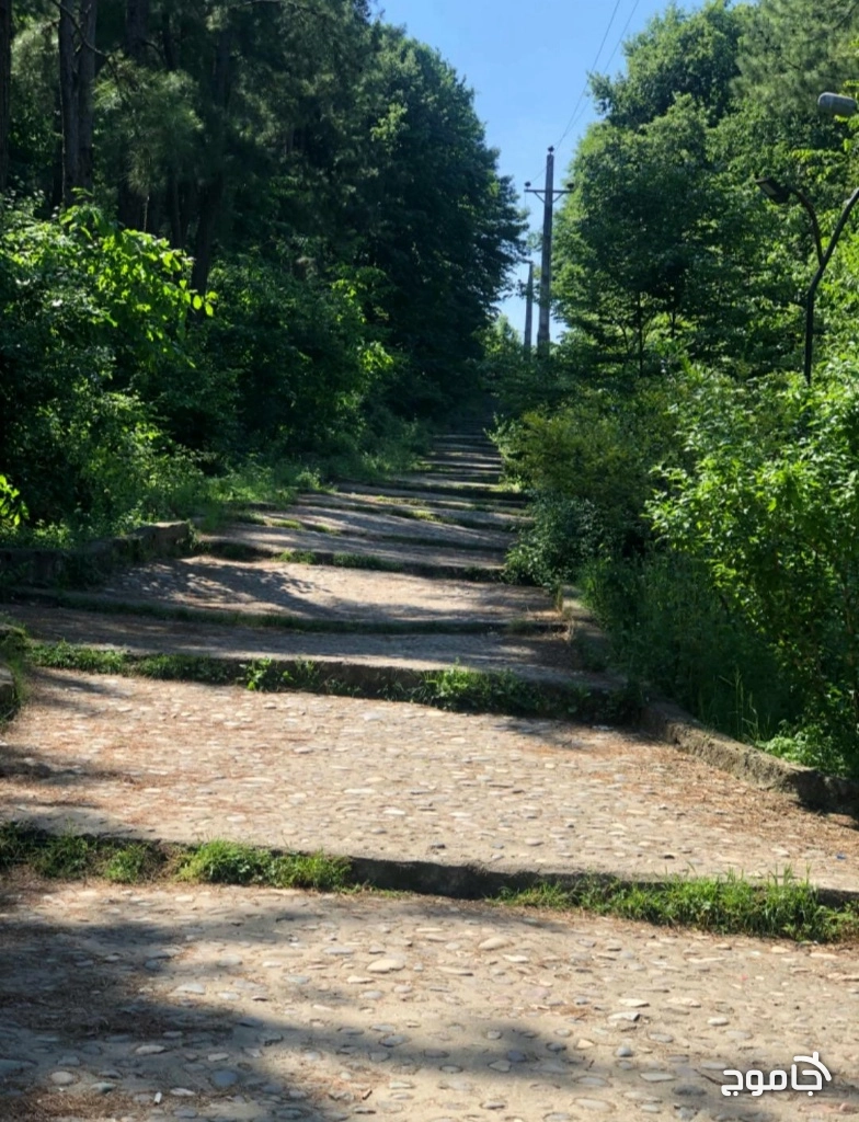 پارک جنگلی سراوان رشت 