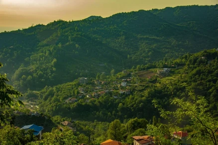 اجاره سوئیت جنگلی صادقی-مازندران، رامسر