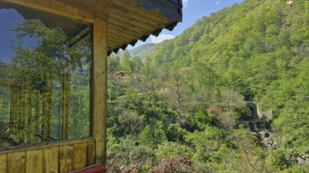 اجاره کلبه فلت باغ جنگلی صفارود-مازندران، رامسر