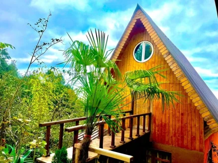 اجاره کلبه جکوزی دار سپیدار کاکتوس-مازندران، رامسر