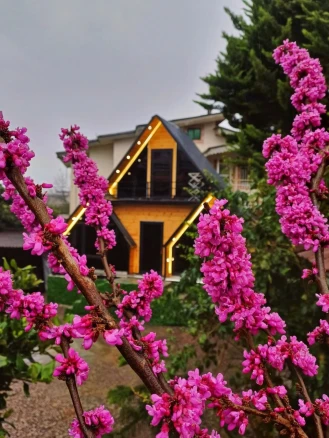 اجاره کلبه دو خواب سه تاج-مازندران، رامسر