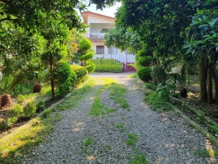 اجاره ویلا سه خوابه مروارید سبز-مازندران، رامسر