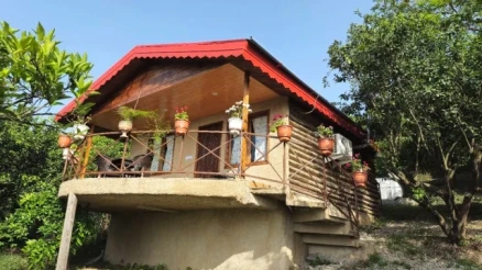 اجاره کلبه یک خوابه طبیعت 19-مازندران، تنکابن