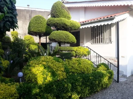 اجاره ویلا دو خوابه با حیاط سرسبز-مازندران، رامسر