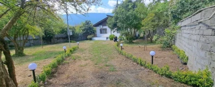 اجاره ویلا باغ یک خواب دربست-مازندران، رامسر