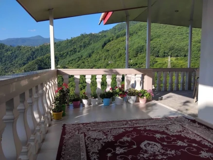 اجاره ویلا دو خواب جنگلی پتک-مازندران، رامسر